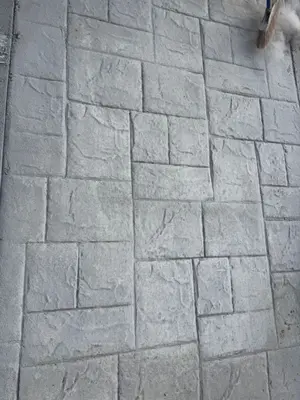 Proyecto Gruta